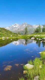 Photo de walrei le long du parcours