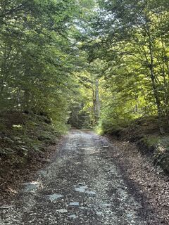 Foto von Nicola Sorbi entlang der Tour