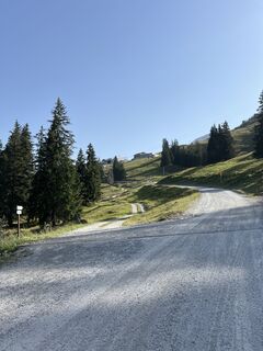 Foto från Erik Ganz under resans gång