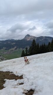 Foto von Chriz Ludwig entlang der Tour