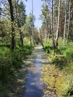 Fotografie de la Josef Kauschinger de-a lungul turului