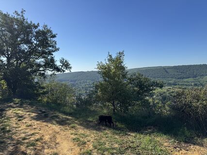 Fotografia z Verbai Gyula na trase