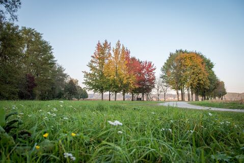 Thermenpark Bad Blumau