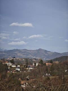 Foto von Koisiegi Japankoi-Bonsai entlang der Tour