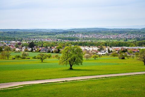 Von der Schwanner Warte reicht der Blick weit in die Ferne