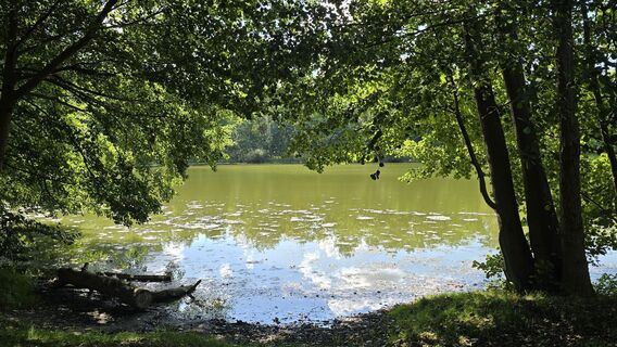 Foto von Katja Senkel entlang der Tour