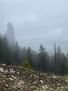 Foto von Marian Roll entlang der Tour
