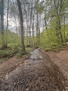 Foto de Erma a lo largo del recorrido