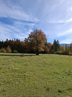 Foto från Oliver Vecera under resans gång