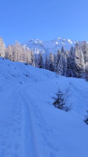 Photo from Rok Benda along the tour