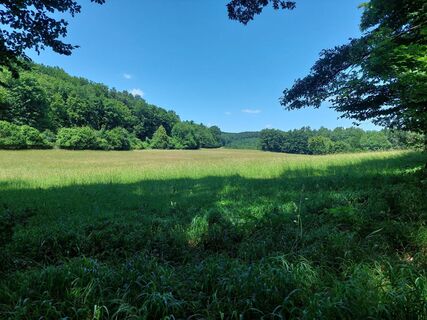 Fotografie z Andrea Mahringer na trase