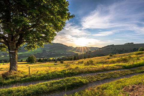 Abendstimmung auf dem Panoramaweg im Bernauer Hochtal