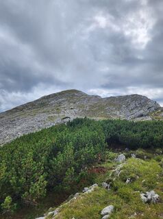 Photo de Petra Riegler le long du parcours