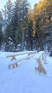 Photo de Romek Dwornik le long du parcours