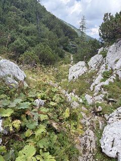 Photo de Laurenzunger le long du parcours