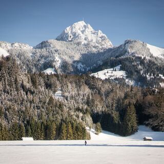 Zwischen Geitau und Bayrischzell