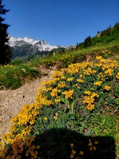 Foto von Manfred Wehrmeister entlang der Tour