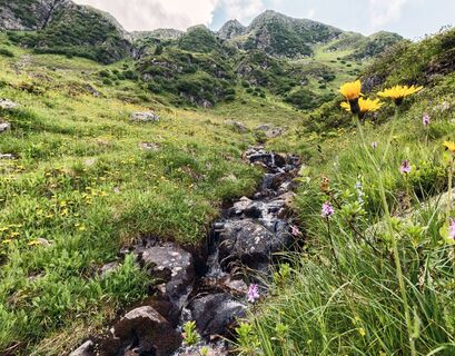 Gebiet um die Innerkapellalpe