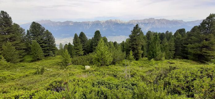 Fotó a Bomtom honlapról a túra során