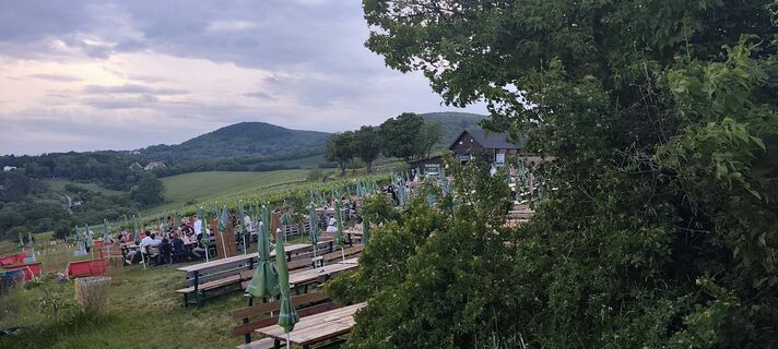 Fotografija s spletne strani Iryna na poti