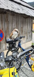 Foto de Astrid RETL a lo largo del recorrido