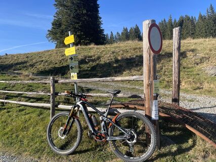 Foto von firebird 93 entlang der Tour