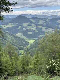Photo de Reinhard Frewein le long du parcours