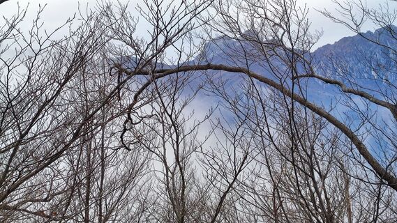 Foto de Stefano Fabi a lo largo del recorrido