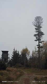 Foto från damilaja242 under resans gång