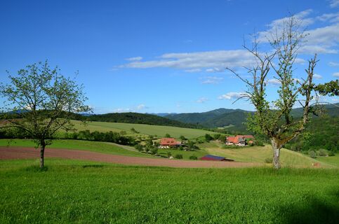 Aussicht auf den Flachenberg