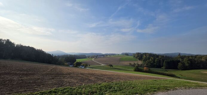 Foto von Thomas Toth 1 entlang der Tour
