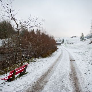 Winterwanderweg Nesslau - Krummenau