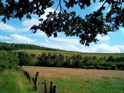 Halde entlang der Radtour