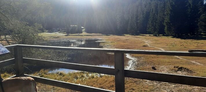Foto von Markus sasse entlang der Tour