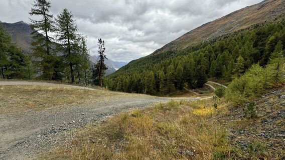 Foto från peter_oe under resans gång