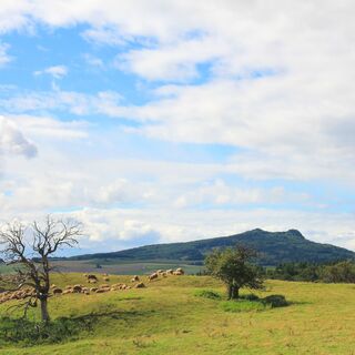 Hegaulandschaft