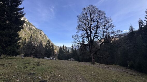 Foto von peter_oe entlang der Tour