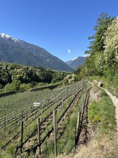 Foto von Peter Schäfer entlang der Tour