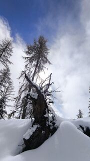 Foto von Nozzo entlang der Tour