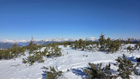 Foto von Gerhard Wilding entlang der Tour