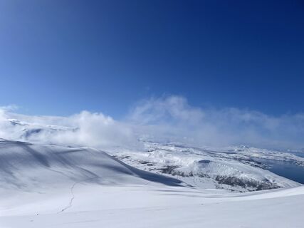 Fotografija s spletne strani Hels Walker na poti