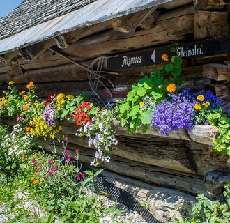 Rundweg Moosalm-Steinalm-Latschenstüberl/Mandlberggut-Filzmoos