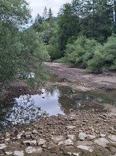 Fotografia z Juttakuenstner na trase