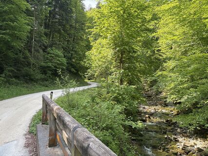 Fotografia z Heinz Sperl na trase