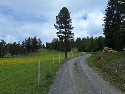 Foto von Jaap Rozeboom entlang der Tour