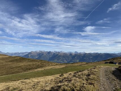 Fotografia z Frank de Vries na trase