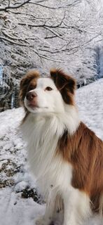 Fotografie de la Klaus Lehner de-a lungul turului