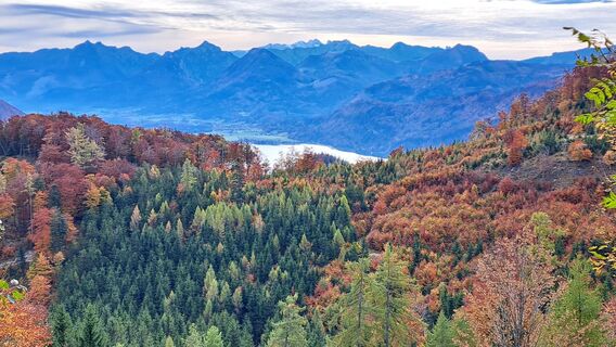 Fotografia z Gerhard Faugel na trase