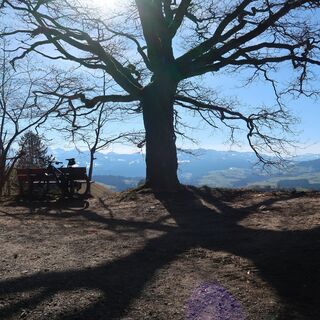 Aussicht von Huberhölzli - Alpenpanoramaweg Etappe 18