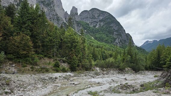 Fotografija s spletne strani euterpe42 na poti